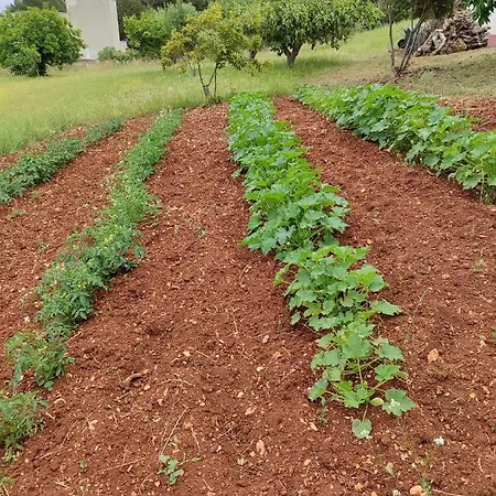 Il Borghetto In Valle D'itria * Martina Franca